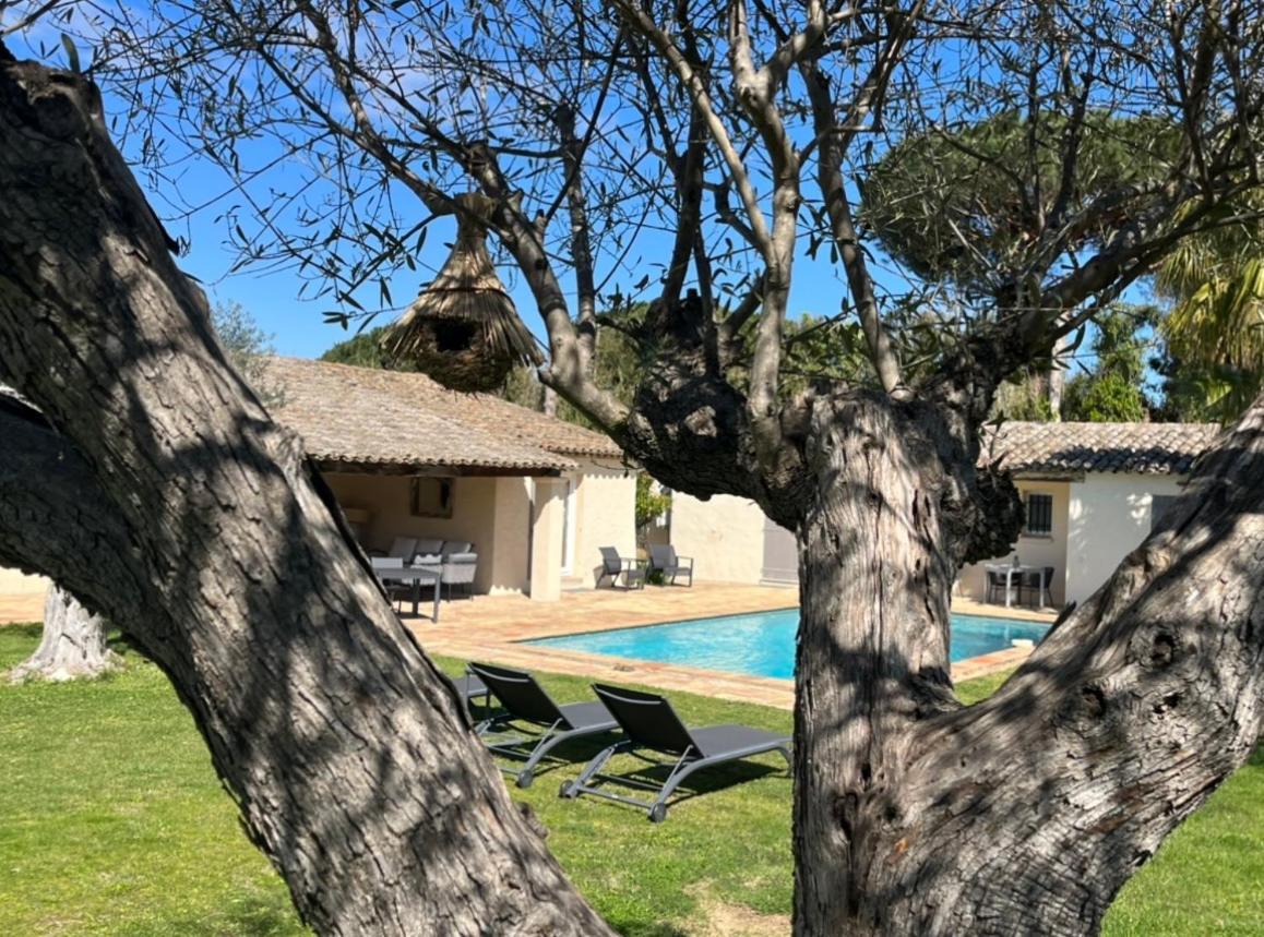 Villa Made Saint-Tropez Dış mekan fotoğraf