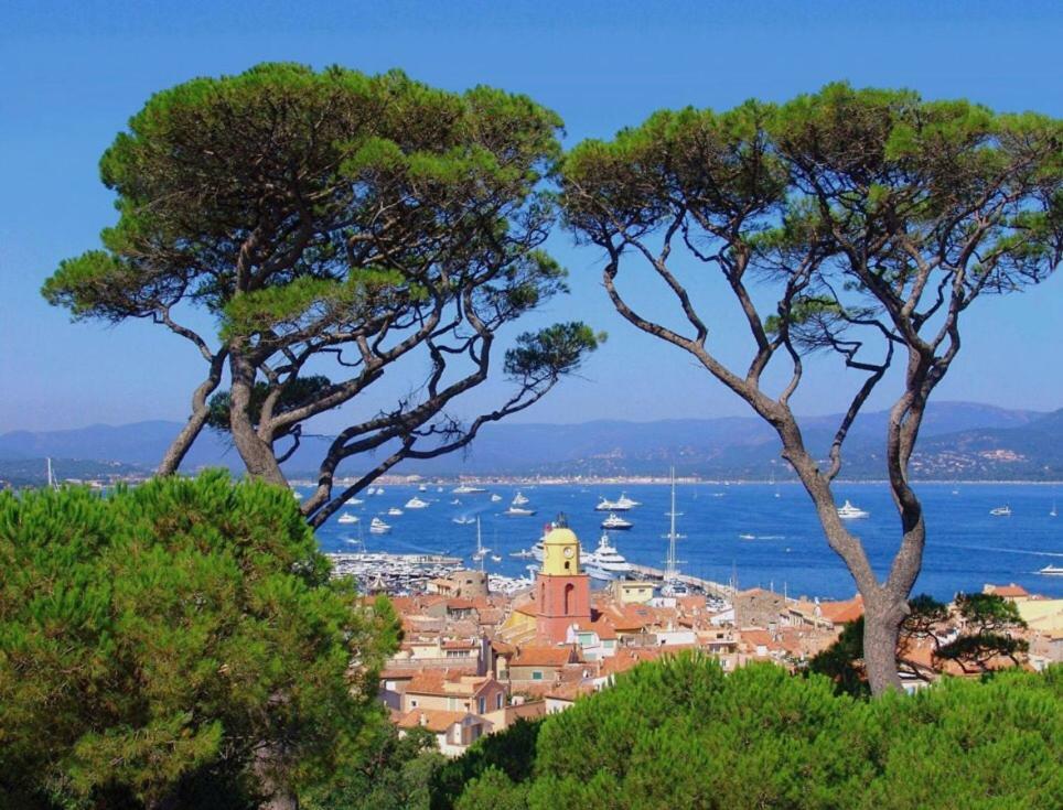 Villa Made Saint-Tropez Dış mekan fotoğraf